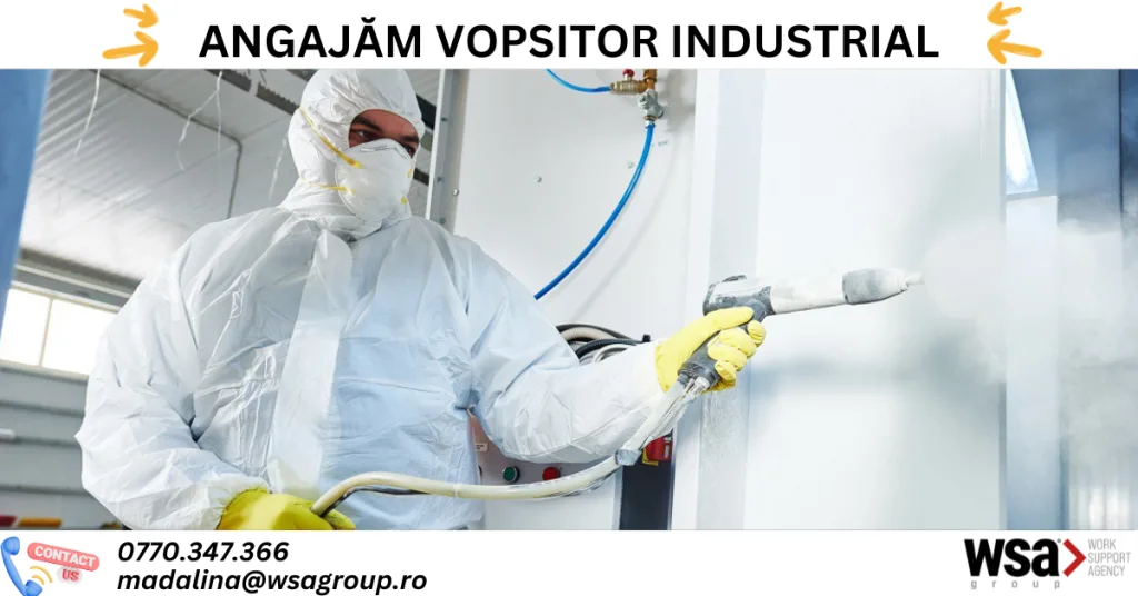 Vopsitor Industrial Textile – Job în 3 schimburi Harman