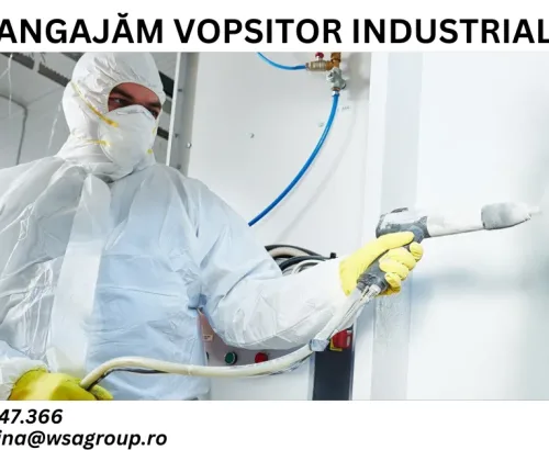 Vopsitor Industrial Textile – Job în 3 schimburi Harman