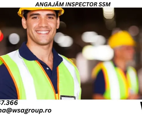 inspector ssm inspector ssm